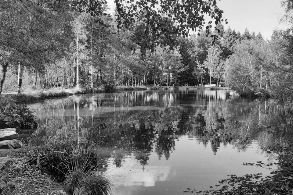 Sentier boisé de l'Arche de la Nature au Mans, parcours running balisé de 6,5 à 12 km en forêt et bocage sarthois