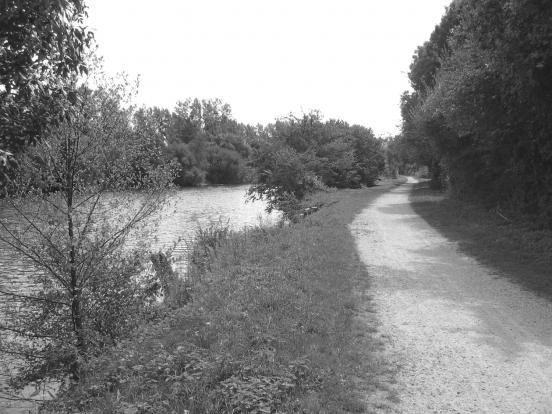 Chemin longeant les bords de la Sarthe au Mans entre l'Île aux Planches et le Gué de Maulny, parcours running plat pour le fractionné