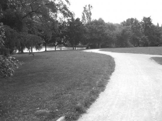 Voie verte ombragée de la Promenade Newton longeant les bords de l'Huisne au Mans, chemin sécurisé pour courir en été